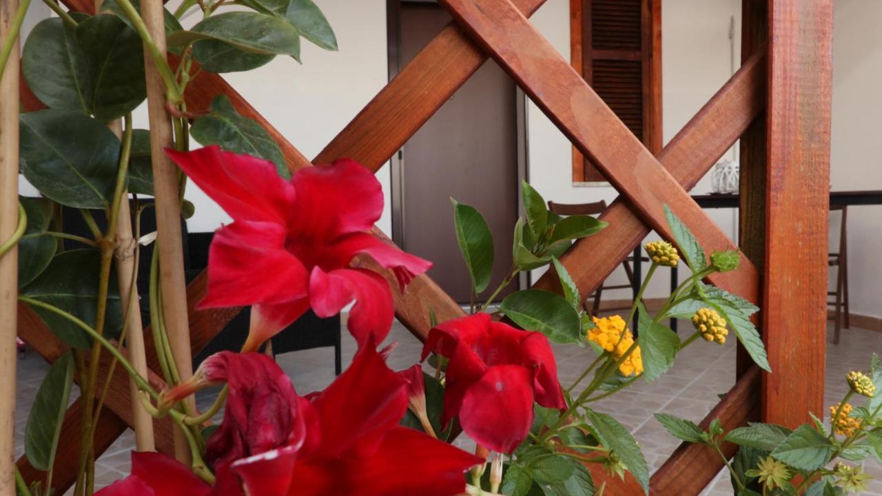 B&B Verzavo Cetraro Exteriör bild