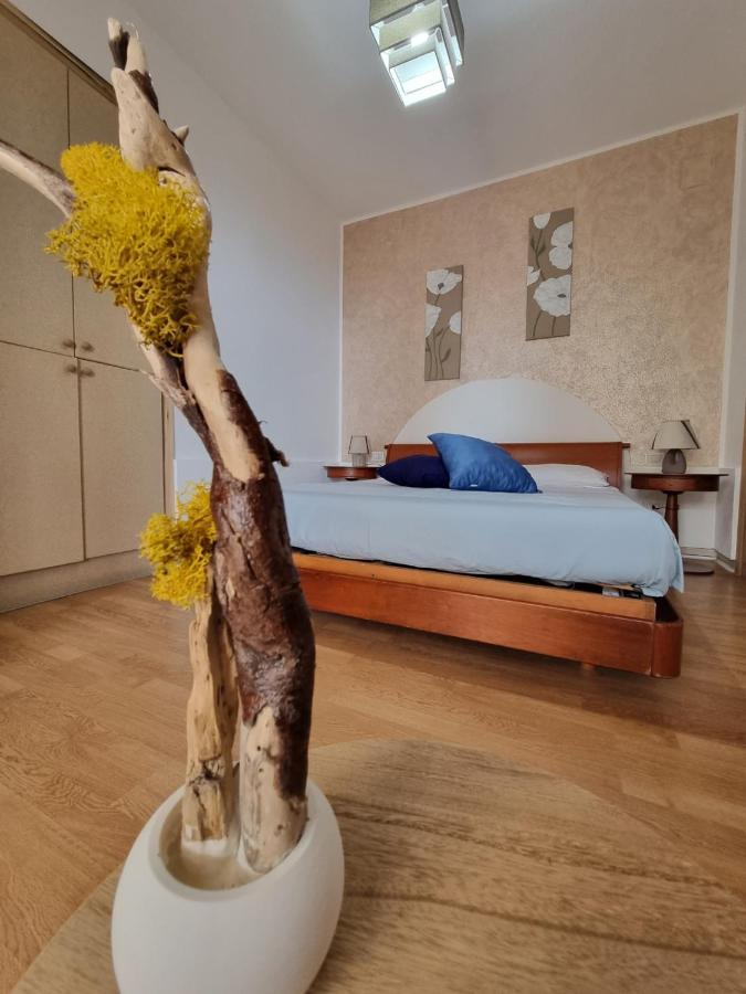 B&B Verzavo Cetraro Exteriör bild